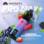 Hayati 6000 Puffs Disposable Vape with LED display screen