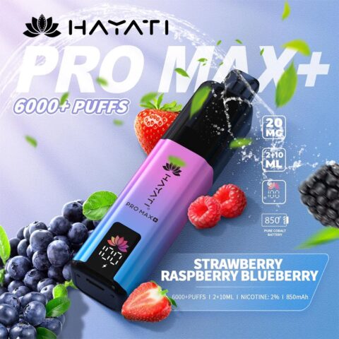 Hayati 6000 Puffs Disposable Vape with LED display screen