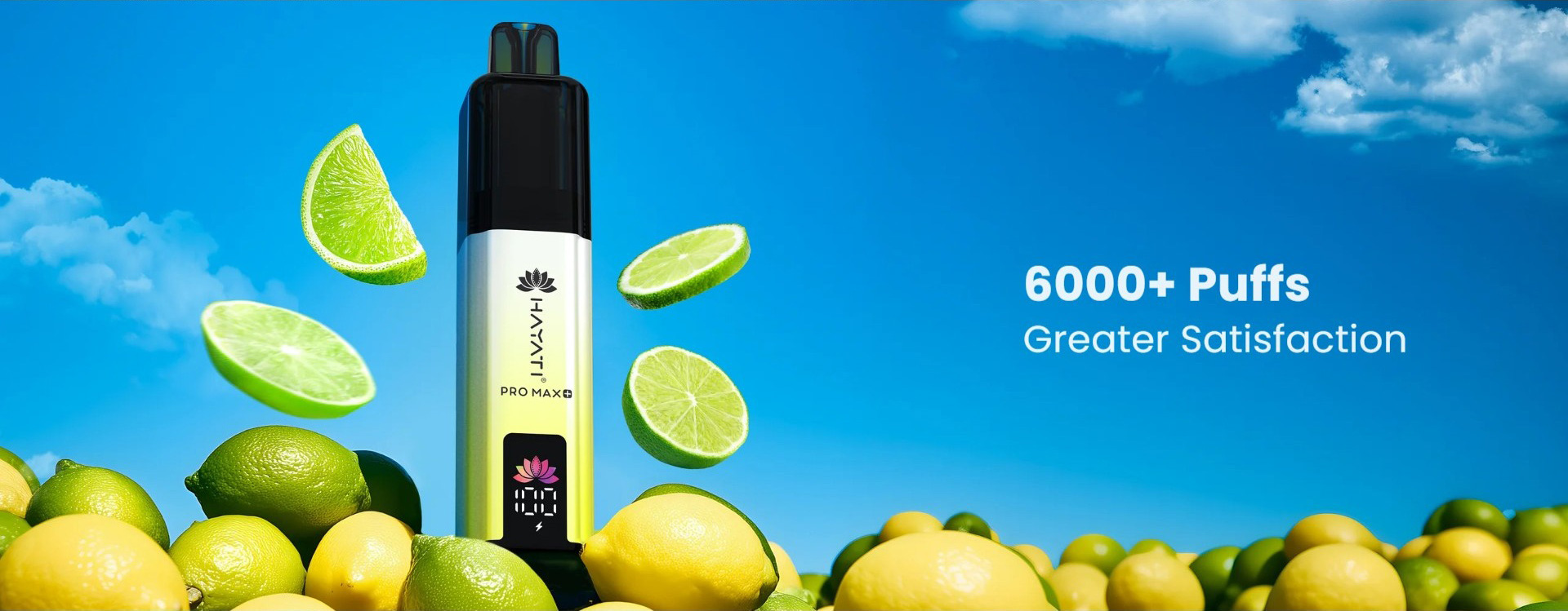 Hayati 6000 Puffs Disposable Vape with LED display screen