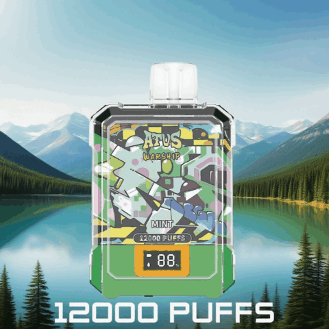 DE013A 12000 Puffs Disposable Vape with LED display screen and adjustable airflow ATVS Vape