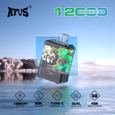 DE013A 12000 Puffs Disposable Vape with LED display screen and adjustable airflow ATVS Vape