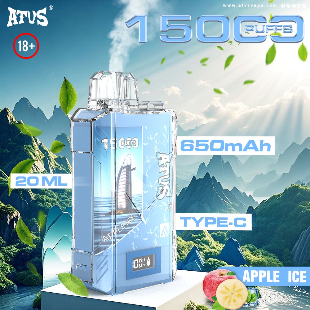 DE017 15000 Puffs Disposable Vape with LED display screen and adjustable airflow rechargeable