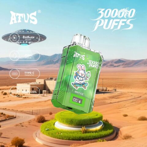 DE017 30000 Puffs Disposable Vape with LED display screen and adjustable airflow rechargeable ATVS Vape