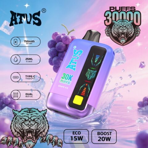 DE026 30000 Puffs Disposable Vape with LED display screen and adjustable airflow ATVS Vape