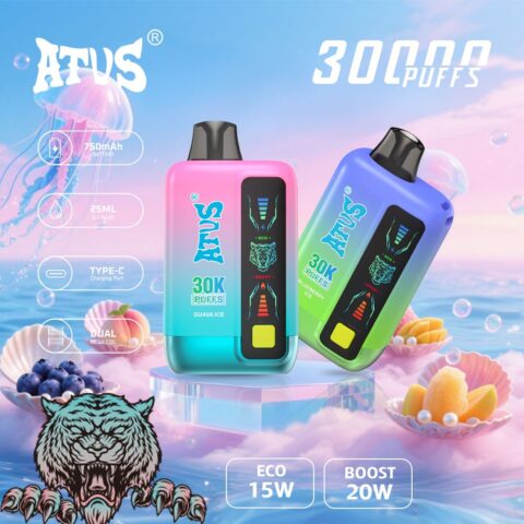 DE026 30000 Puffs Disposable Vape with LED display screen and adjustable airflow ATVS Vape