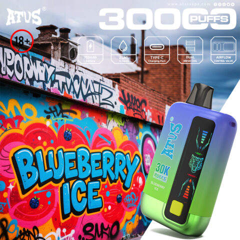 DE026 30000 Puffs Disposable Vape with LED display screen and adjustable airflow ATVS Vape