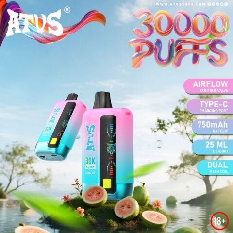 DE026 30000 Puffs Disposable Vape with LED display screen and adjustable airflow ATVS Vape