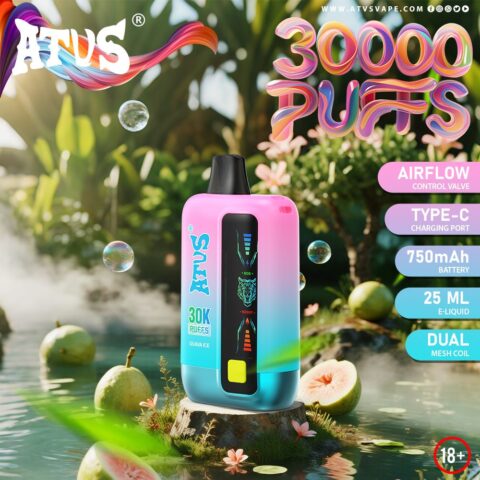 DE026 30000 Puffs Disposable Vape with LED display screen and adjustable airflow ATVS Vape