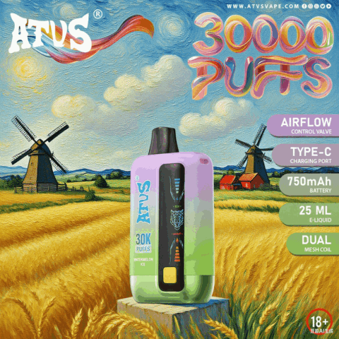 DE026 30000 Puffs Disposable Vape with LED display screen and adjustable airflow ATVS Vape